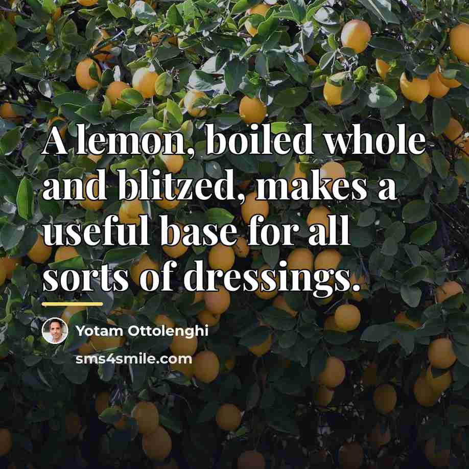 “A lemon, boiled whole and blitzed, makes a useful base…” quote by Yotam Ottolenghi