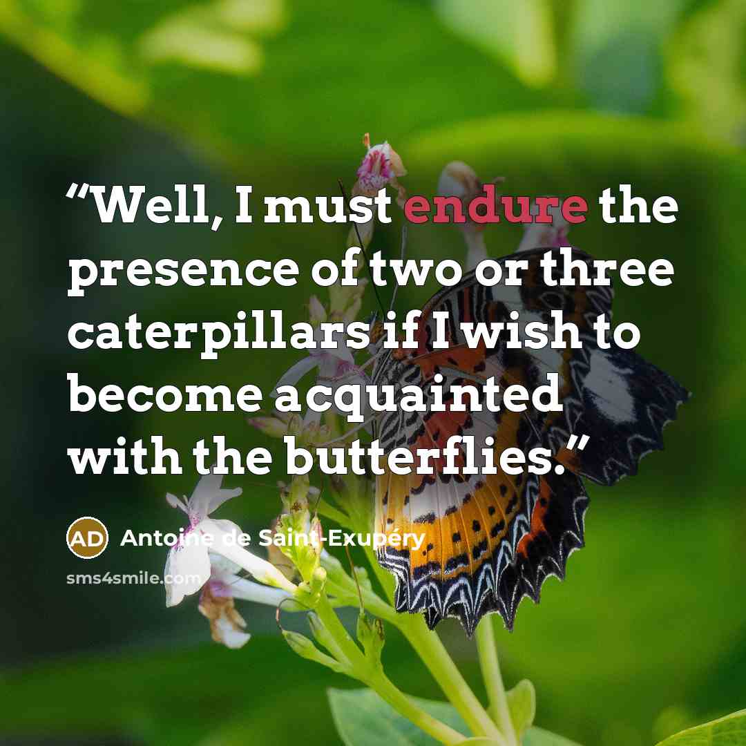 “Well, I must endure the presence of two or three caterpillars if I wish to become acquainted with the butterflies.” quote by Antoine de Saint-Exupéry