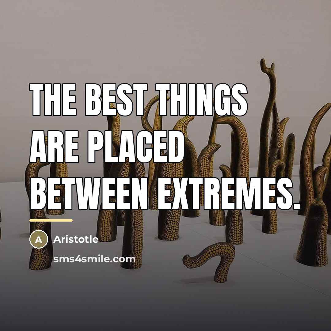 “The best things are placed between extremes.…” quote by Aristotle