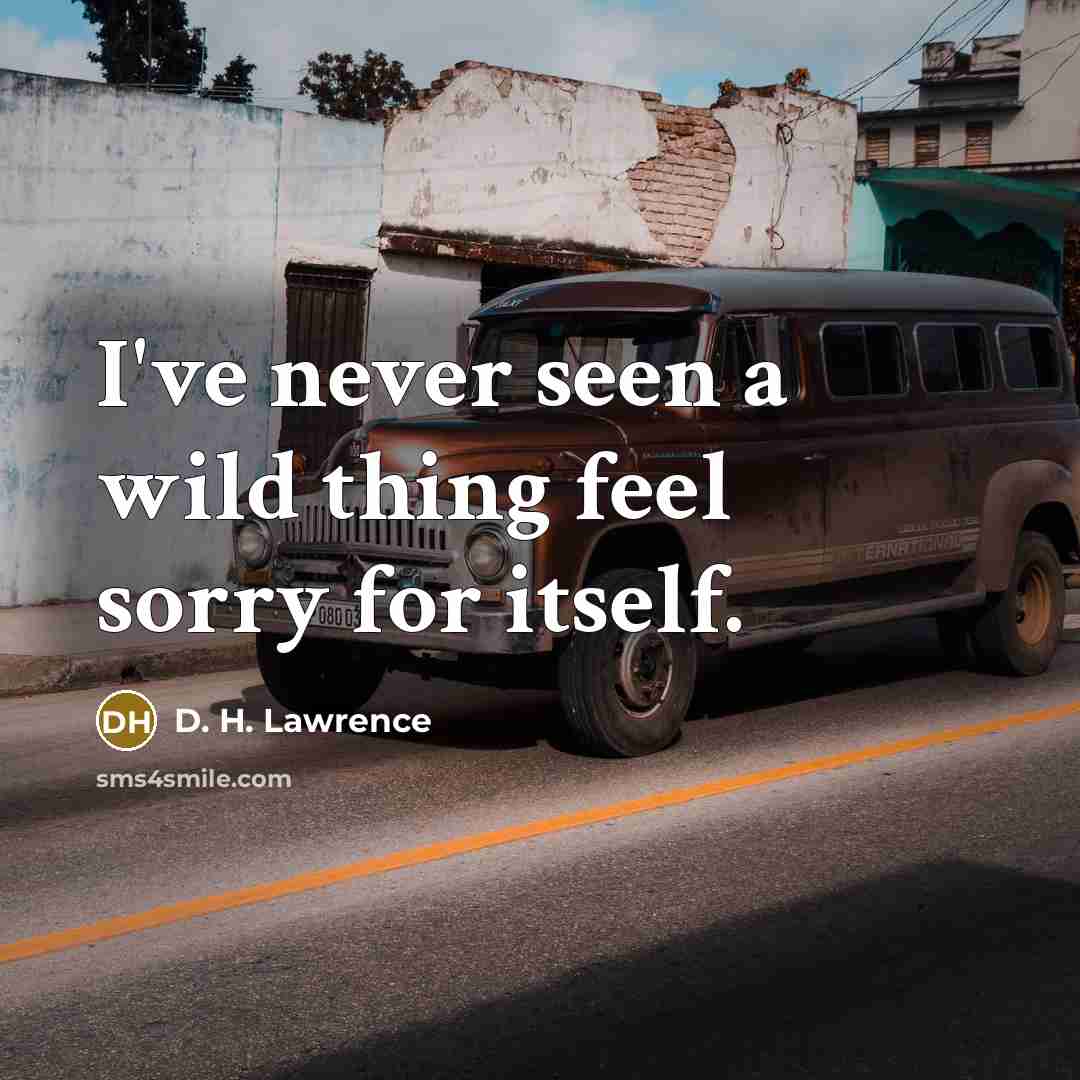 “I've never seen a wild thing feel sorry for itself.…” quote by D. H. Lawrence