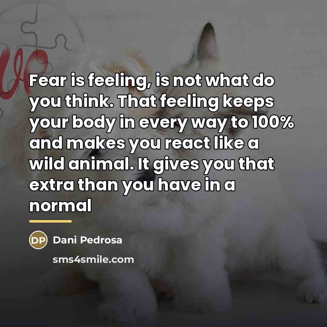 “Fear is feeling, is not what do you think. That…” quote by Dani Pedrosa
