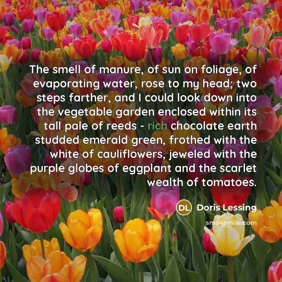 “The smell of manure, of sun on foliage, of evaporating…” quote by Doris Lessing