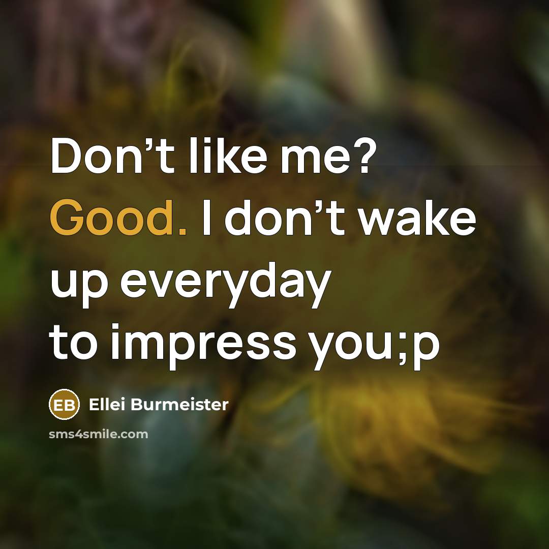 “Don't like me? Good. I don't wake up everyday to impress you;p” quote by Ellei Burmeister