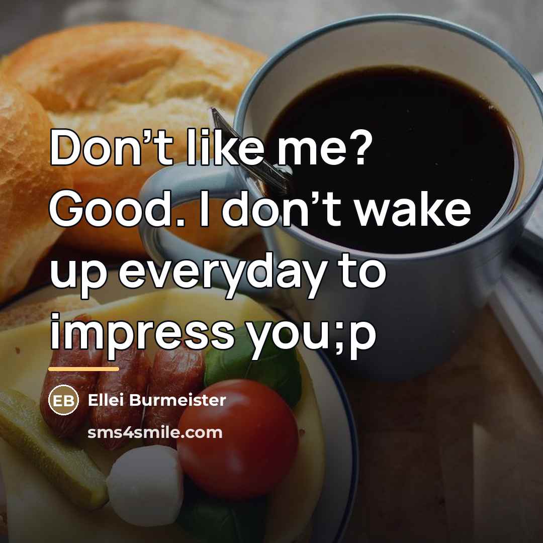 “Don't like me? Good. I don't wake up everyday to…” quote by Ellei Burmeister