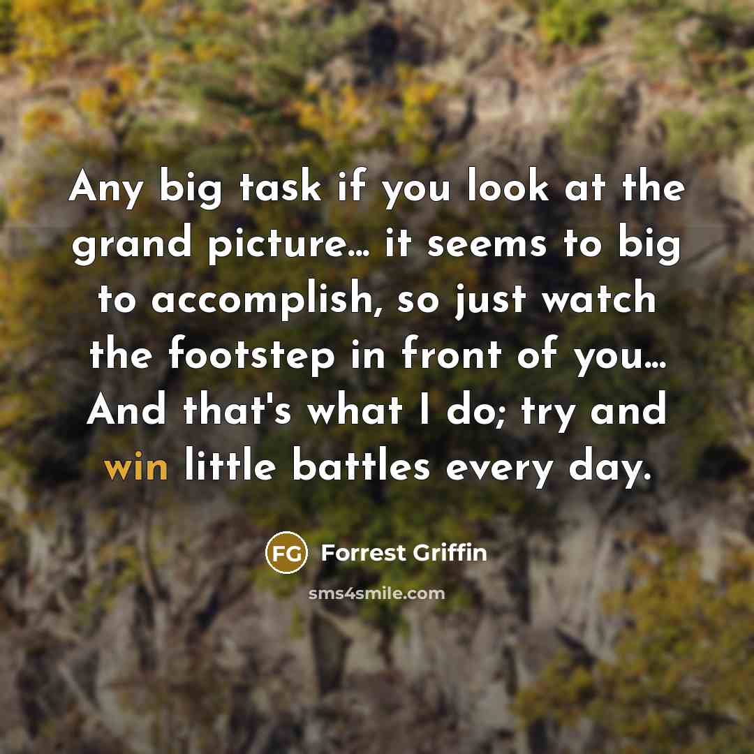 “Any big task if you look at the grand picture...…” quote by Forrest Griffin