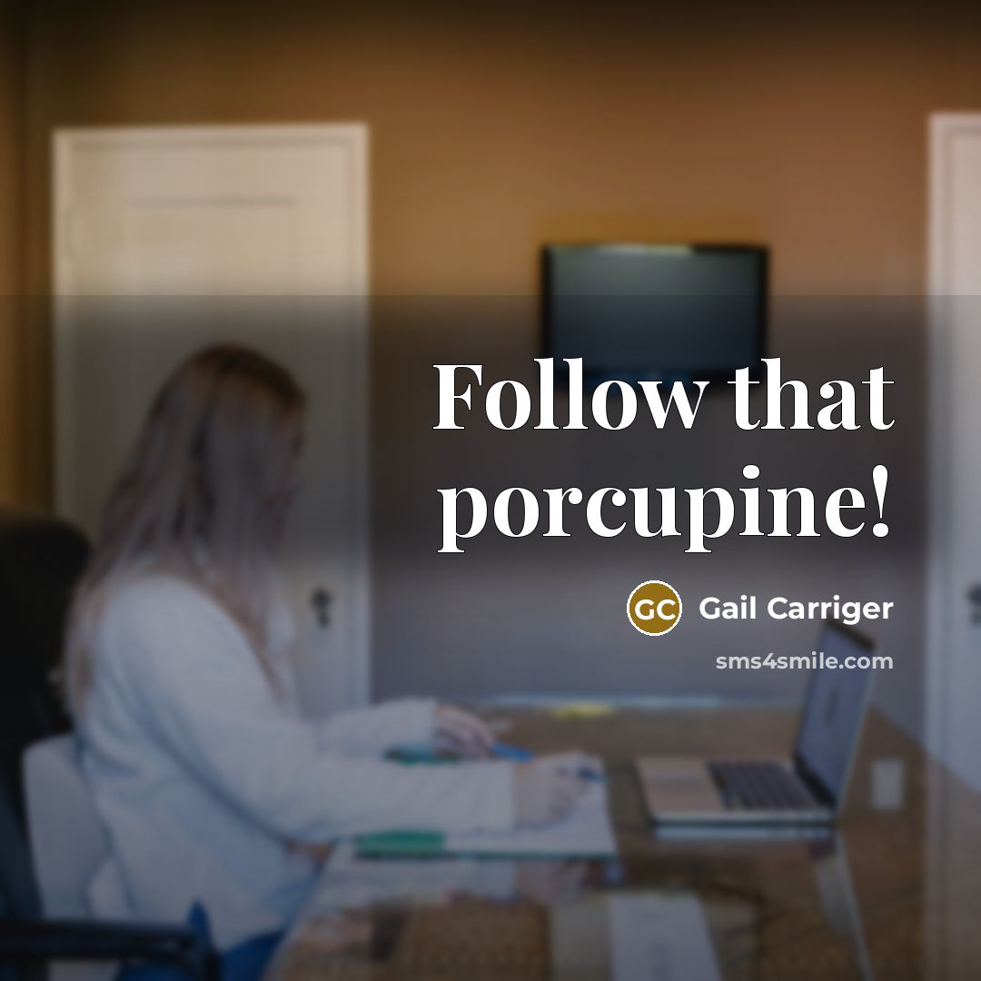 “Follow that porcupine!” quote by Gail Carriger