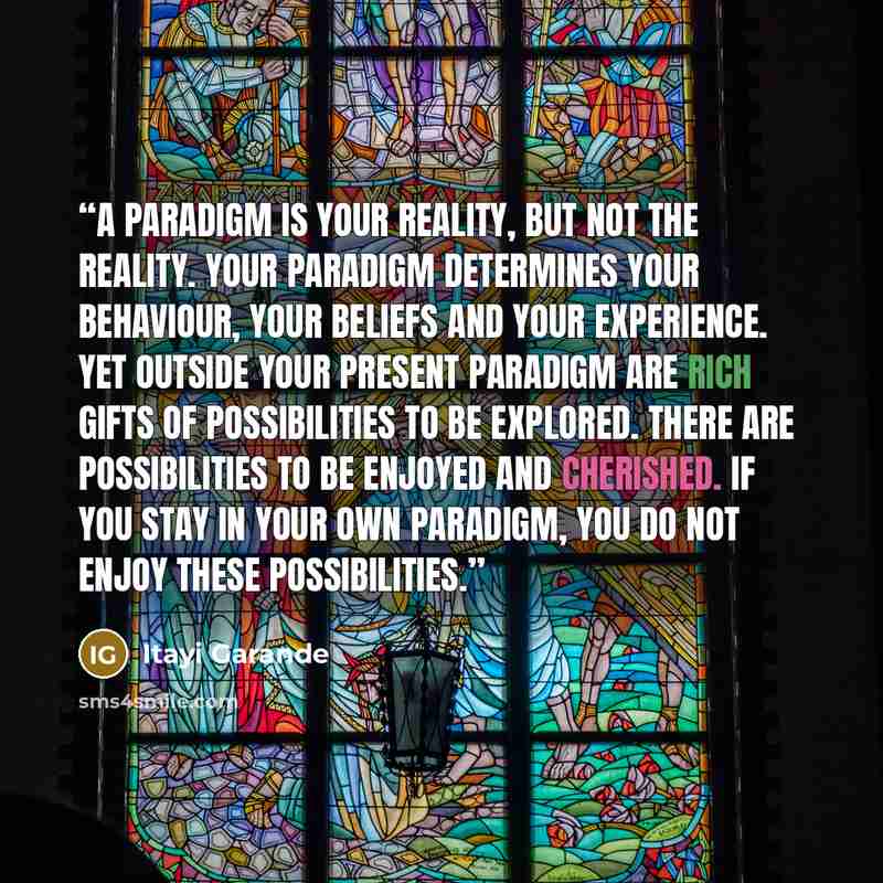 “A paradigm is your reality, but not the reality. Your paradigm determines your behaviour, your beliefs and your experience. Yet outside your present paradigm are rich gifts of possibilities to be explored. There are possibilities to be enjoyed and cherished. If you stay in your own paradigm, you…” quote by Itayi Garande