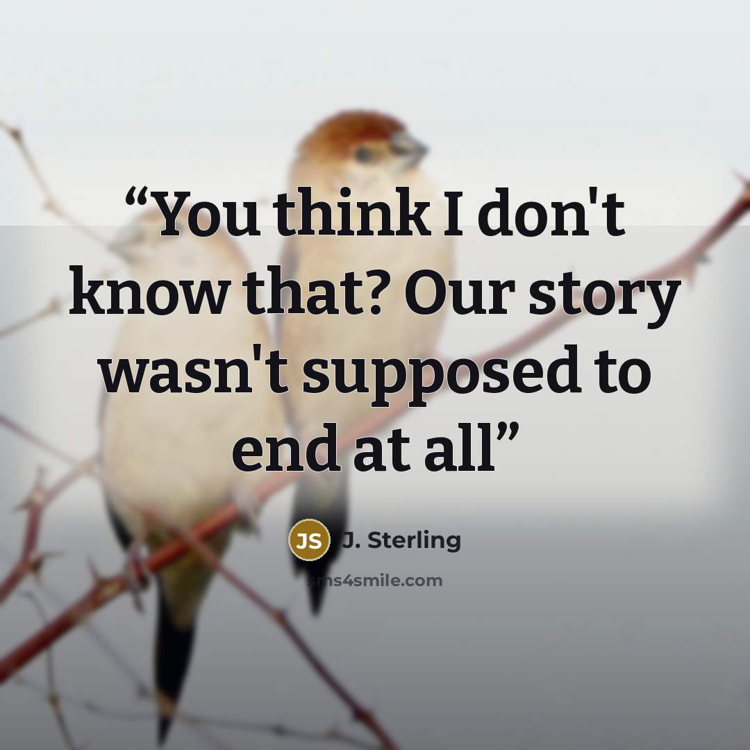 “You think I don't know that? Our story wasn't supposed to end at all” quote by J. Sterling