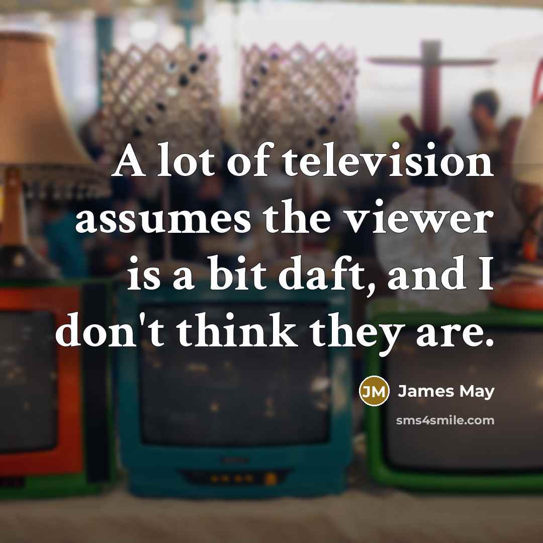 “A lot of television assumes the viewer is a bit…” quote by James May