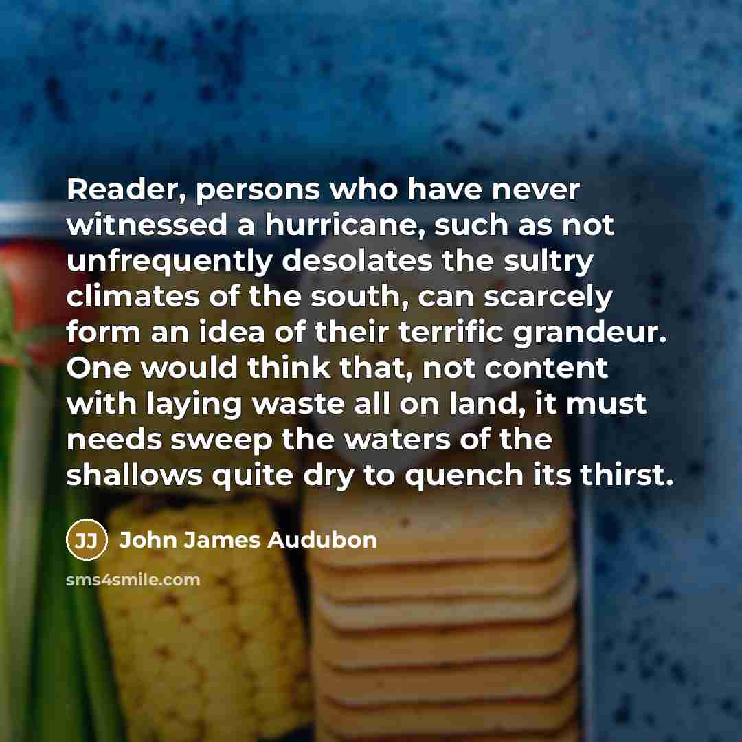“Reader, persons who have never witnessed a hurricane, such as…” quote by John James Audubon