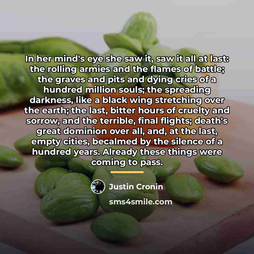 “In her mind's eye she saw it, saw it all…” quote by Justin Cronin