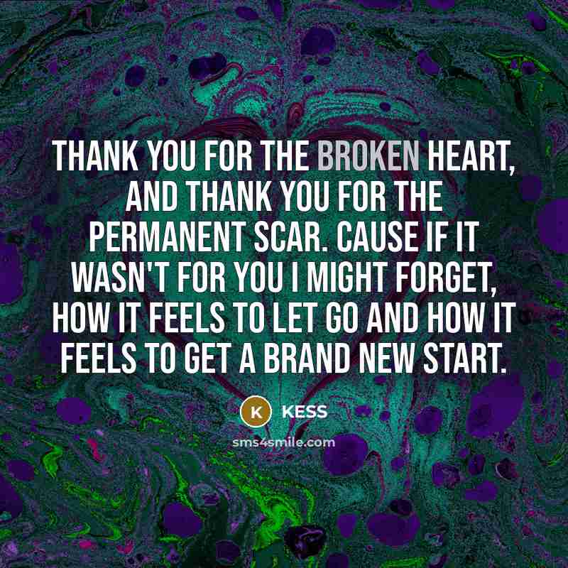 “Thank you for the broken heart, And thank you for…” quote by Kess