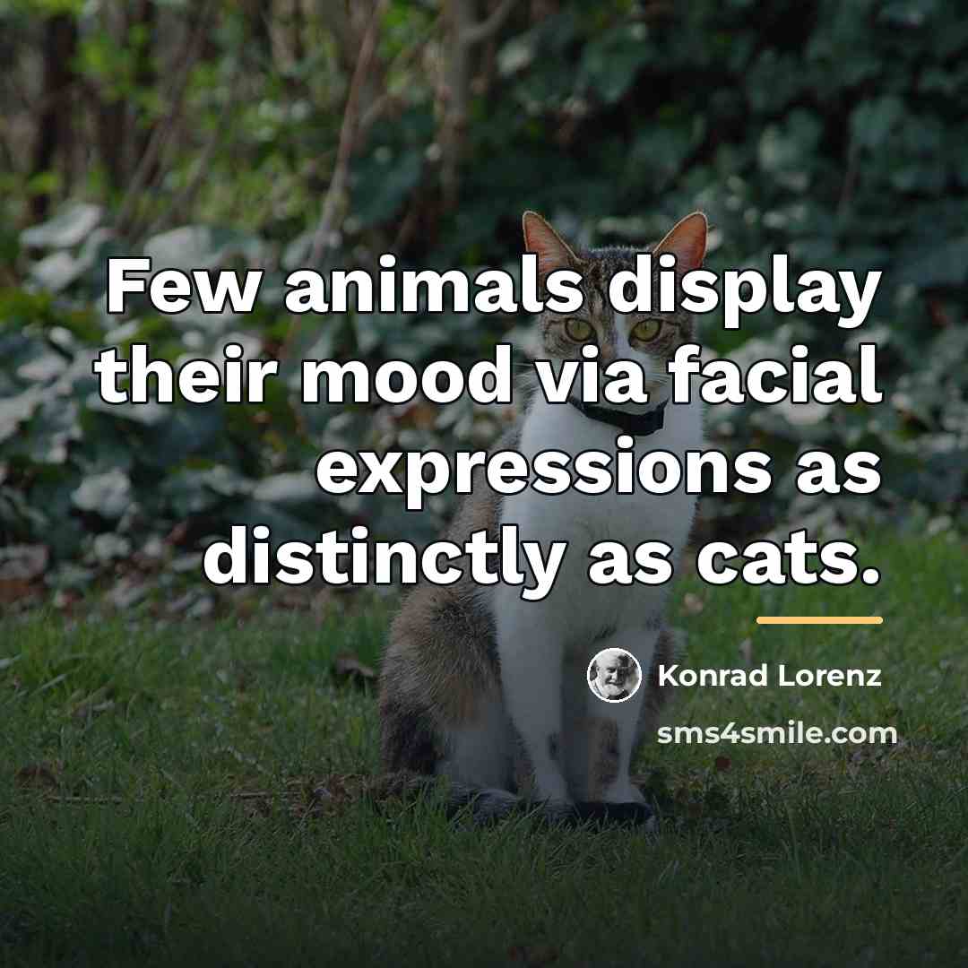 “Few animals display their mood via facial expressions as distinctly…” quote by Konrad Lorenz