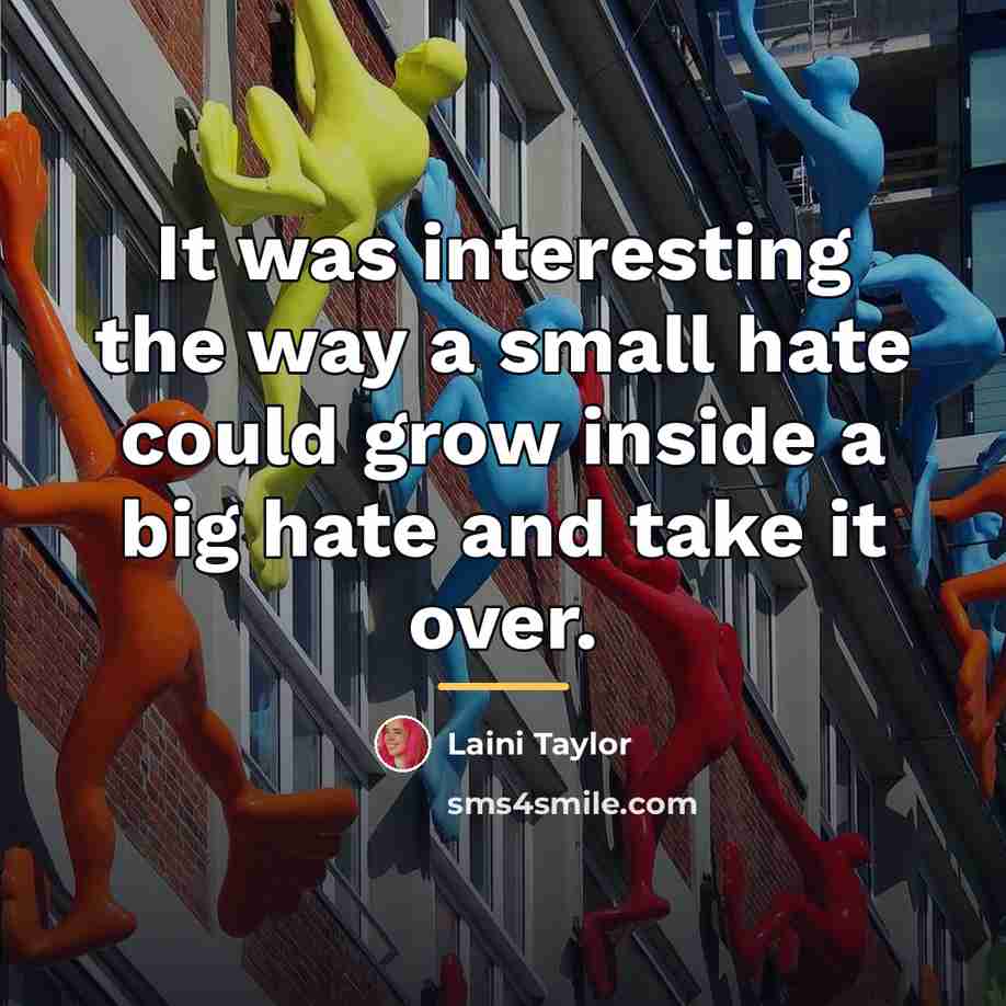 “It was interesting the way a small hate could grow…” quote by Laini Taylor