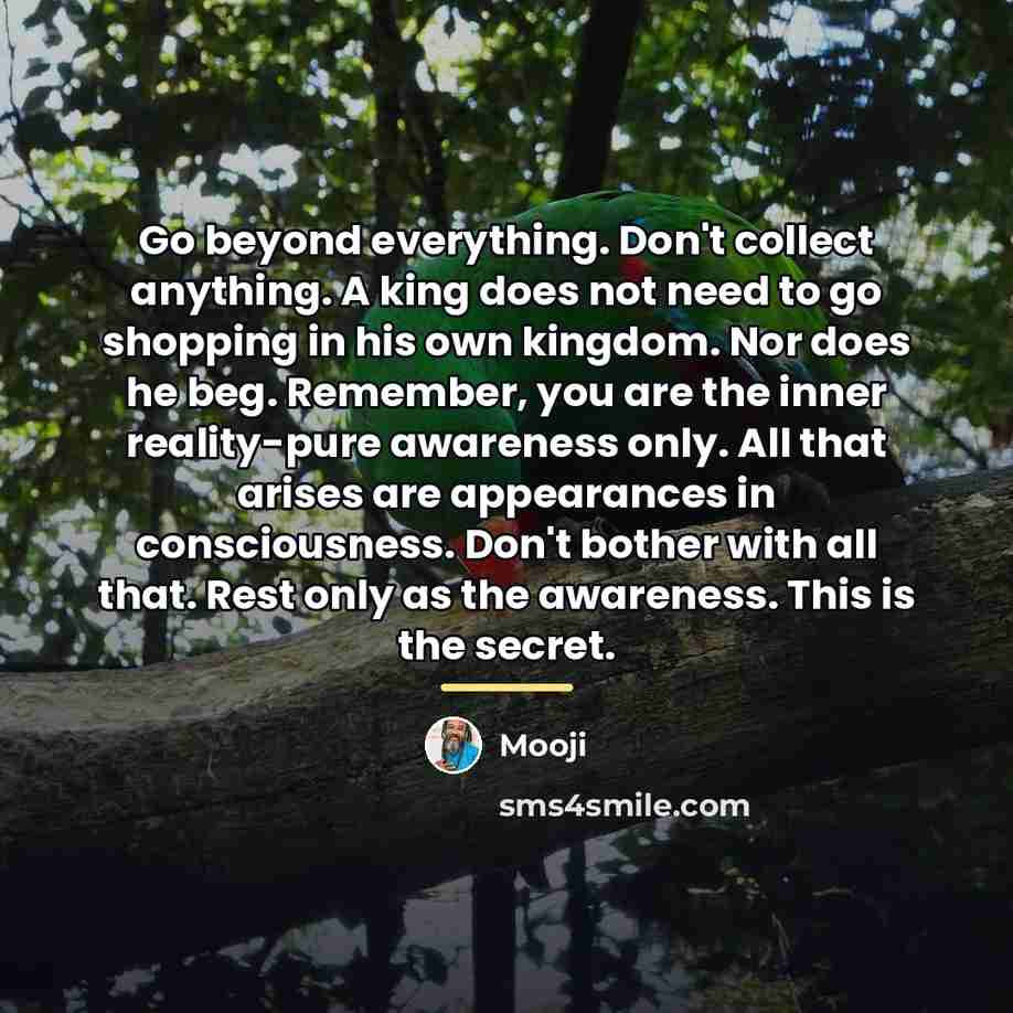 “Go beyond everything. Don't collect anything. A king does not…” quote by Mooji