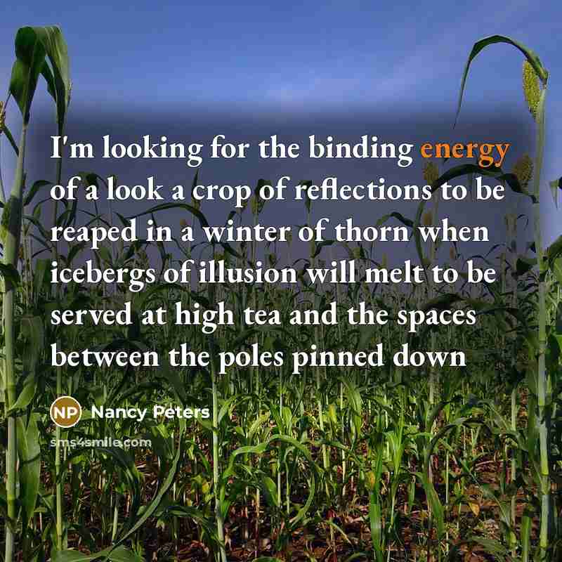 “I'm looking for the binding energy of a look a…” quote by Nancy Peters