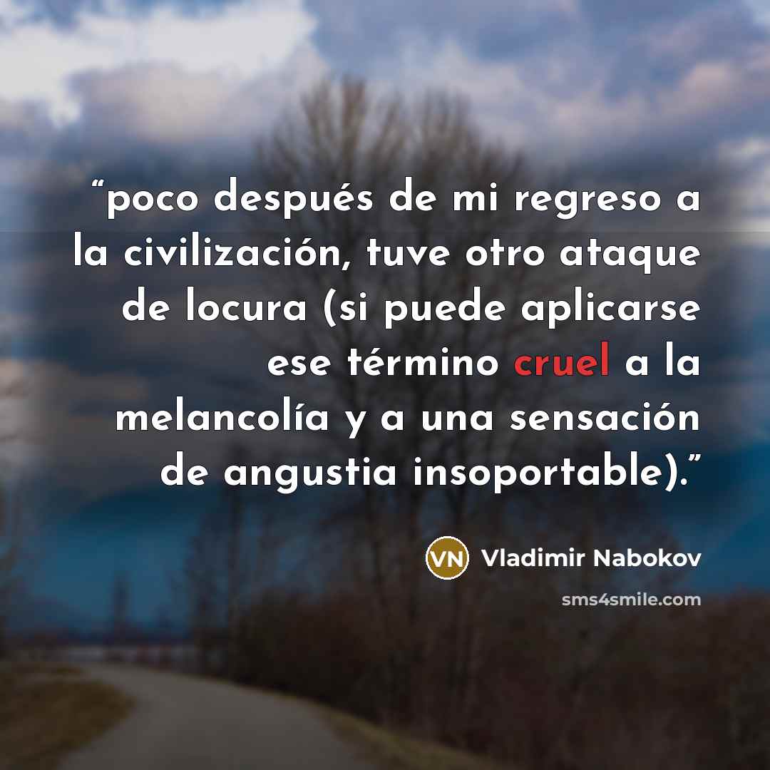 “poco después de mi regreso a la civilización, tuve otro ataque de locura (si puede aplicarse ese término cruel a la melancolía y a una sensación de angustia insoportable).” quote by Vladimir Nabokov