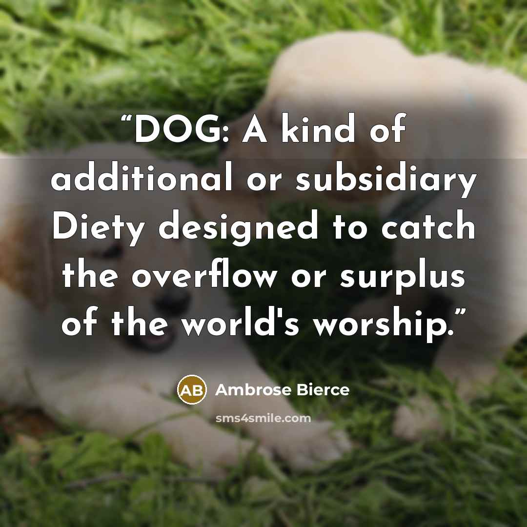 “DOG: A kind of additional or subsidiary Diety designed to catch the overflow or surplus of the world's worship.” quote by Ambrose Bierce