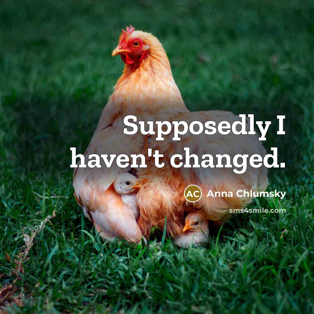 “Supposedly I haven't changed.…” quote by Anna Chlumsky