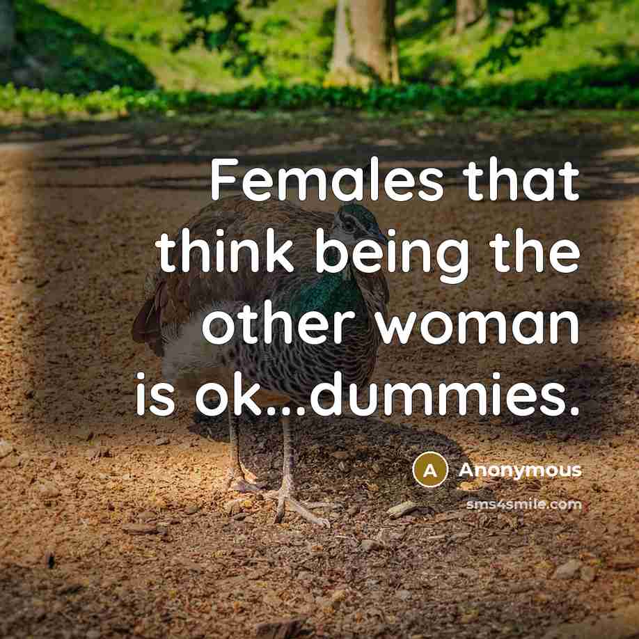 “Females that think being the other woman is ok...dummies.…” quote by Anonymous