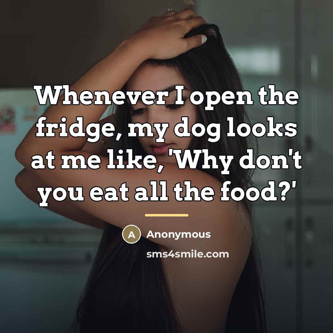 “Whenever I open the fridge, my dog looks at me…” quote by Anonymous