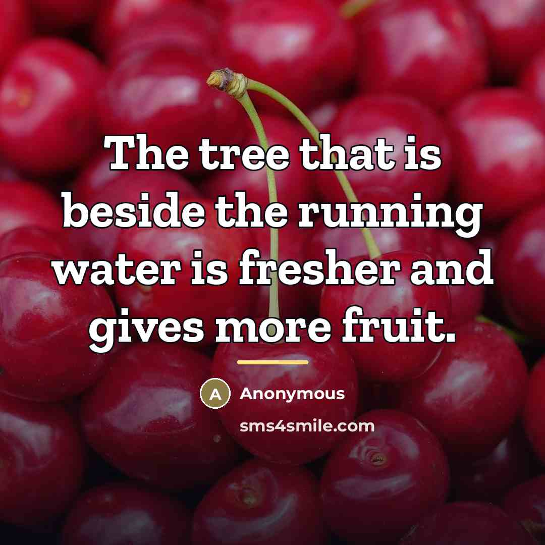 “The tree that is beside the running water is fresher…” quote by Anonymous