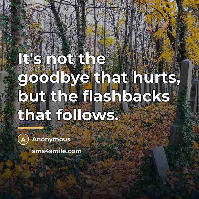 “It's not the goodbye that hurts, but the flashbacks that…” quote by Anonymous