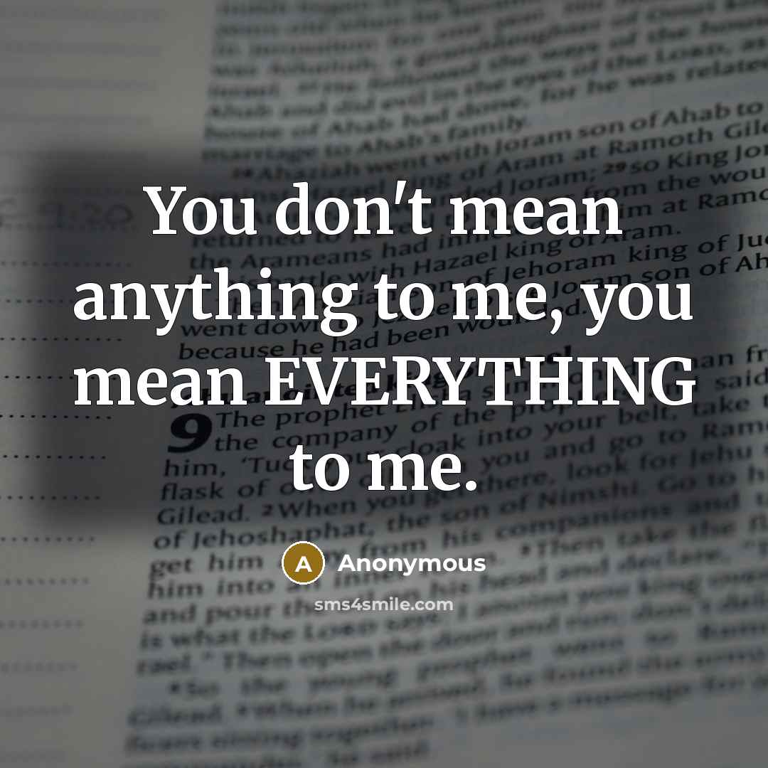 “You don't mean anything to me, you mean EVERYTHING to me.” quote by Anonymous