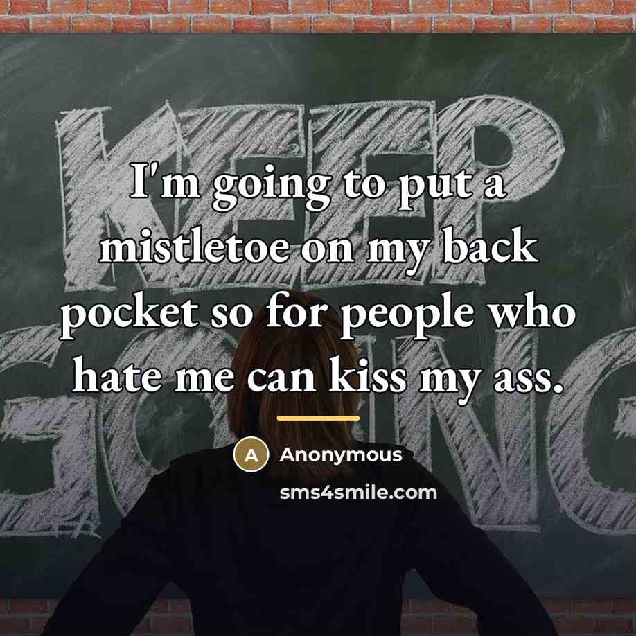 “I'm going to put a mistletoe on my back pocket…” quote by Anonymous