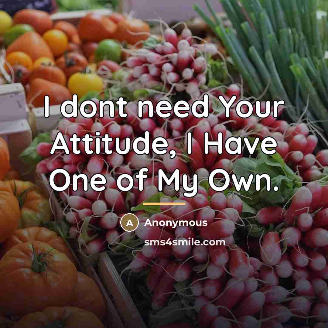 “I dont need Your Attitude, I Have One of My…” quote by Anonymous