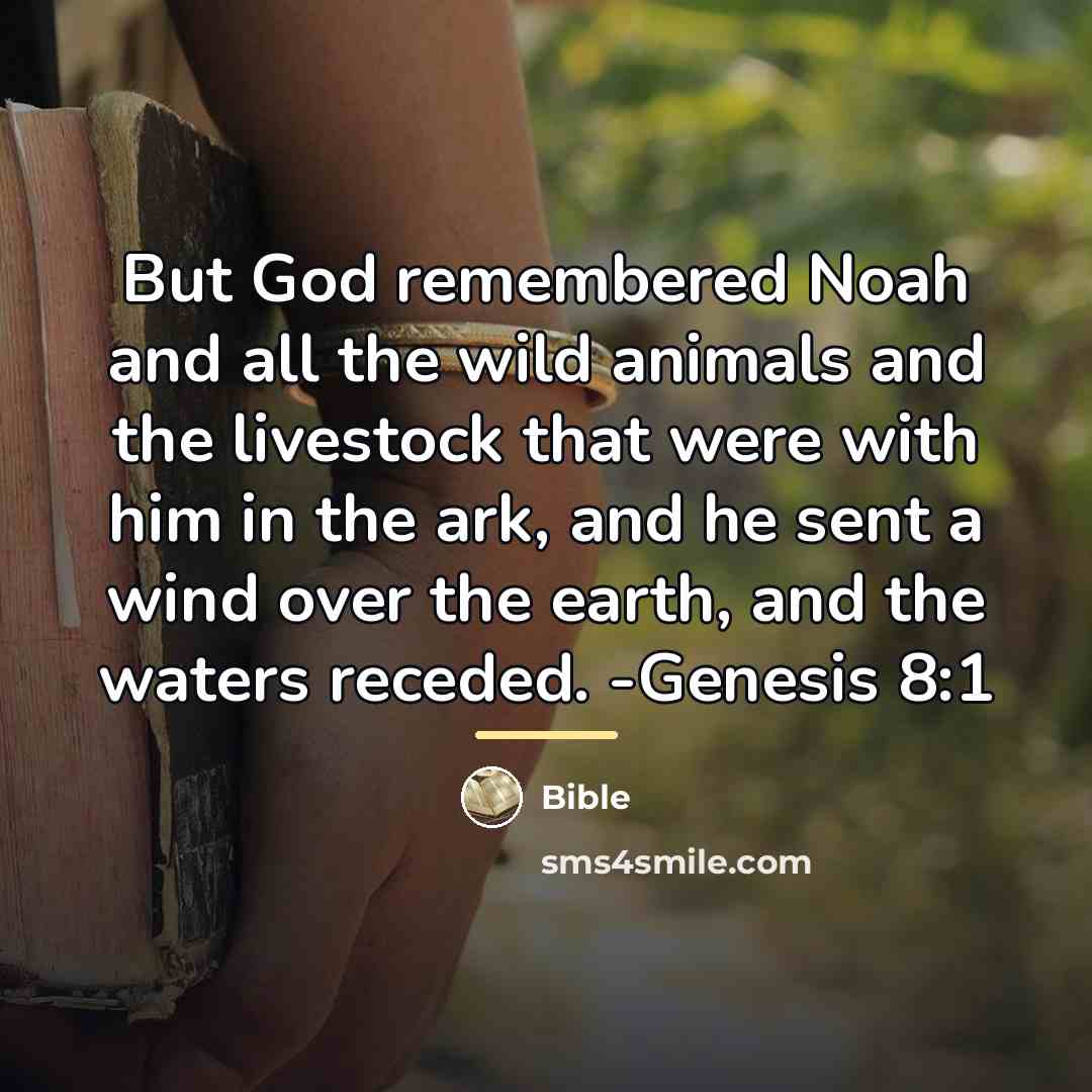 “But God remembered Noah and all the wild animals and…” quote by Bible