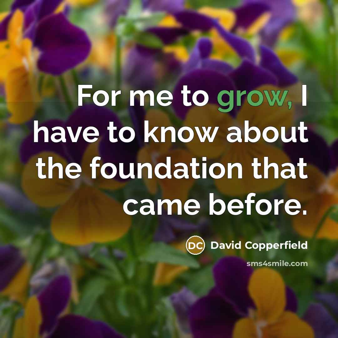 “For me to grow, I have to know about the…” quote by David Copperfield