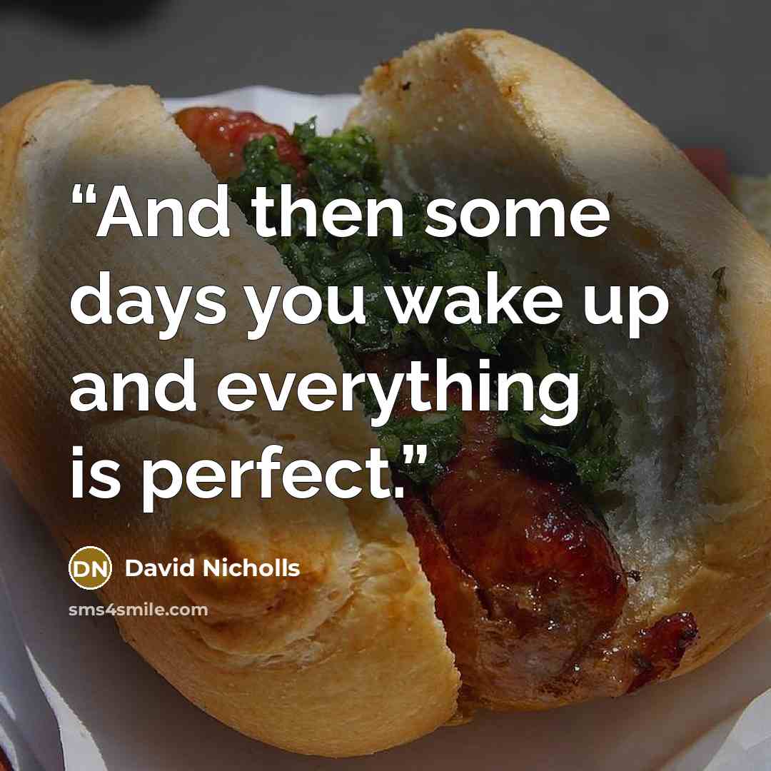 “And then some days you wake up and everything is perfect.” quote by David Nicholls