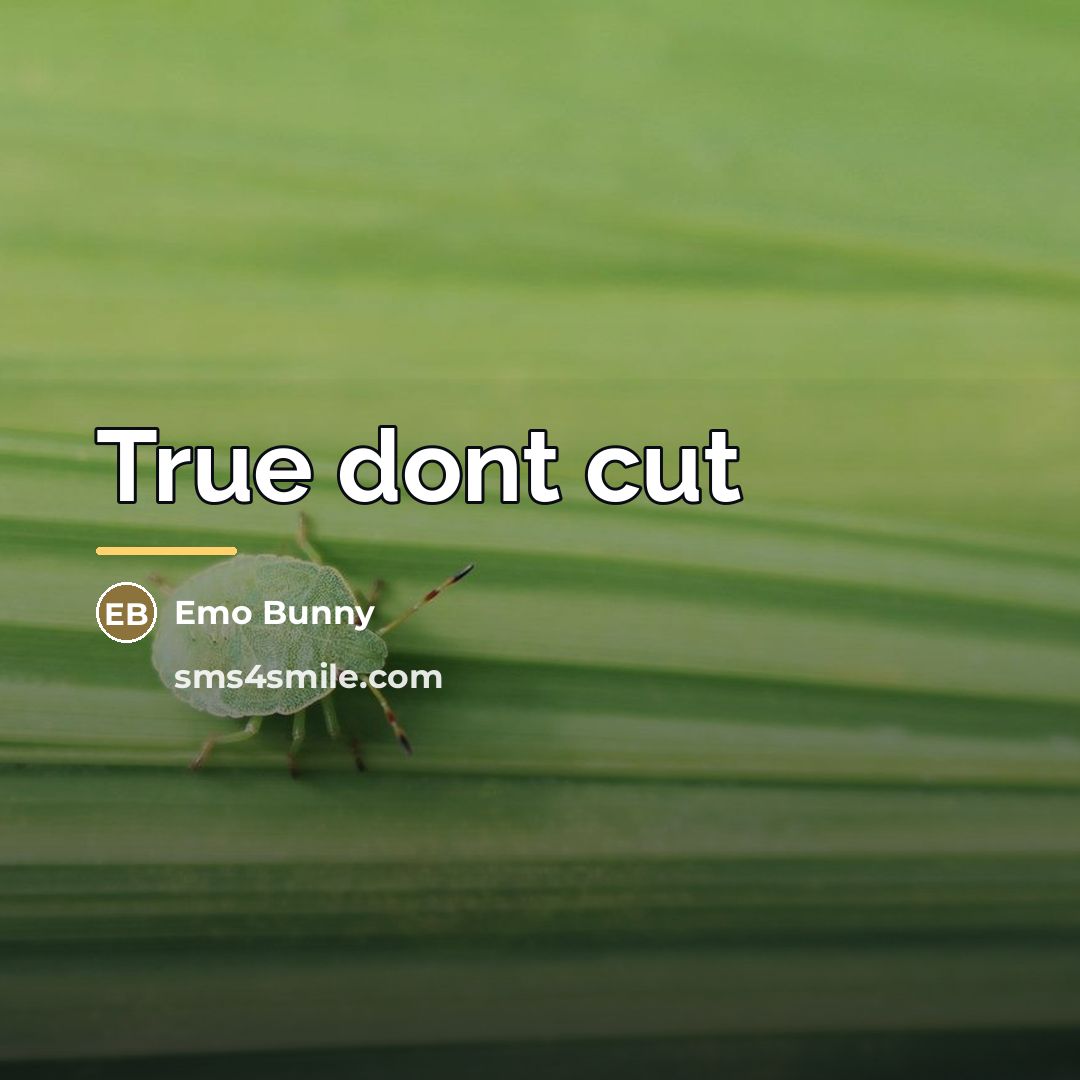 “True dont cut…” quote by Anonymous
