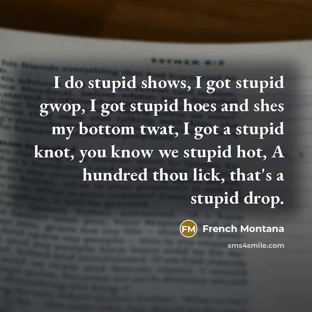 “I do stupid shows, I got stupid gwop, I got…” quote by French Montana