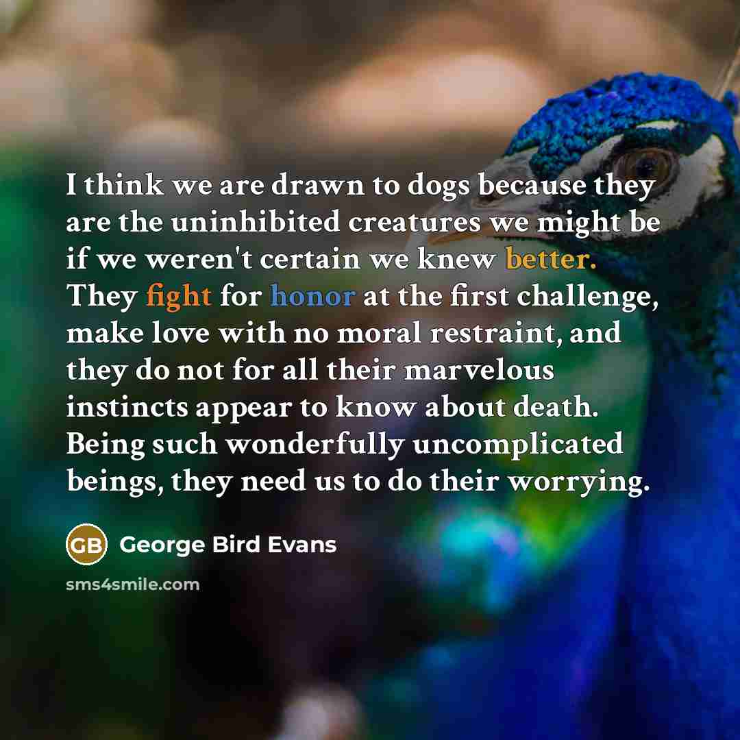 “I think we are drawn to dogs because they are the uninhibited creatures we might be if we weren't certain we knew better. They fight for honor at the first challenge, make love with no moral restraint, and they do not for all their marvelous instincts appear to know about death. Being such…” quote by George Bird Evans