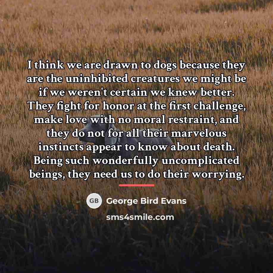 “I think we are drawn to dogs because they are…” quote by George Bird Evans
