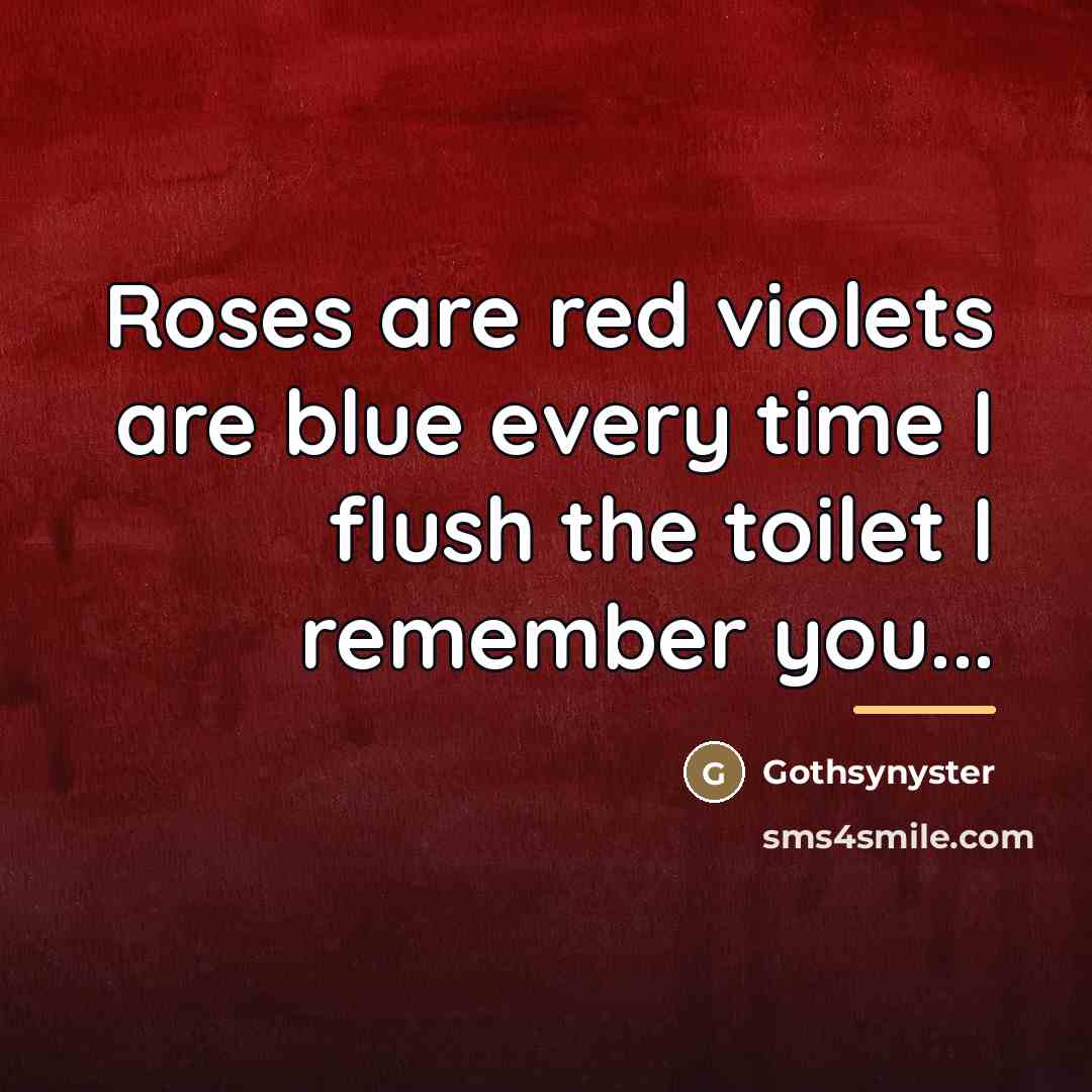 “Roses are red violets are blue every time I flush…” quote by Gothsynyster