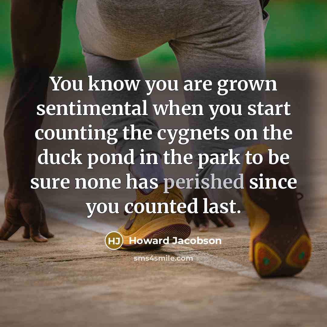 “You know you are grown sentimental when you start counting…” quote by Howard Jacobson