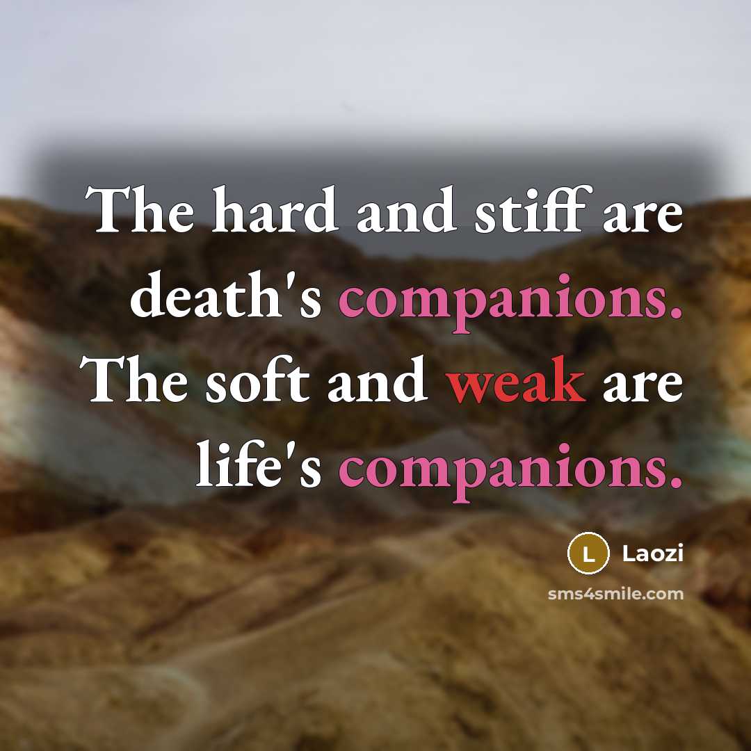 “The hard and stiff are death's companions. The soft and…” quote by Laozi