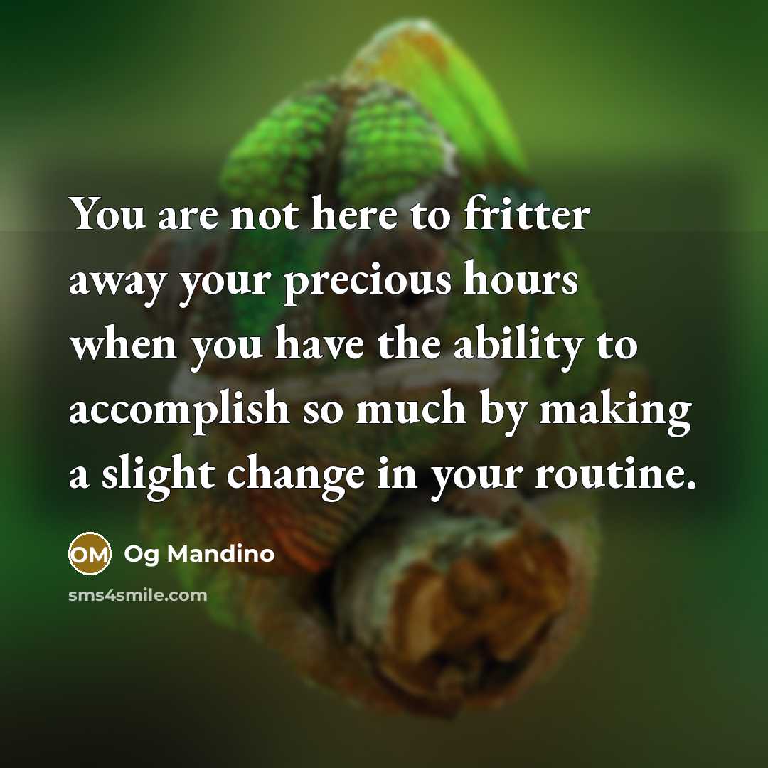 “You are not here to fritter away your precious hours…” quote by Og Mandino