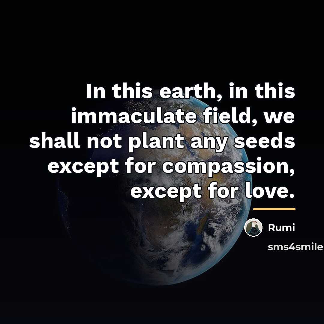 “In this earth, in this immaculate field, we shall not…” quote by Rumi