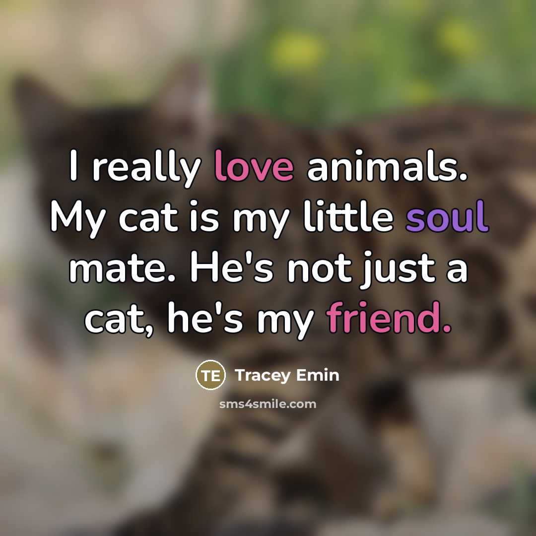“I really love animals. My cat is my little soul…” quote by Tracey Emin