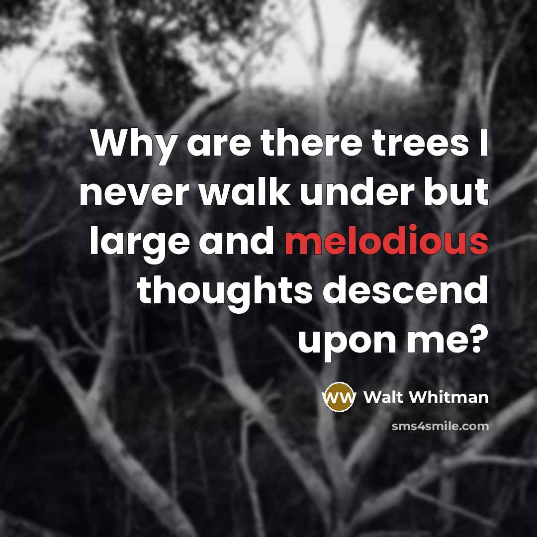 “Why are there trees I never walk under but large and melodious thoughts descend upon me?” quote by Walt Whitman