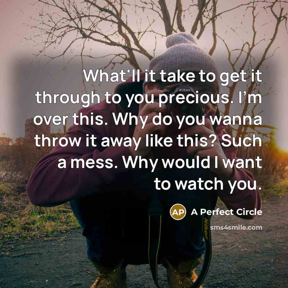 “What'll it take to get it through to you precious.…” quote by A Perfect Circle