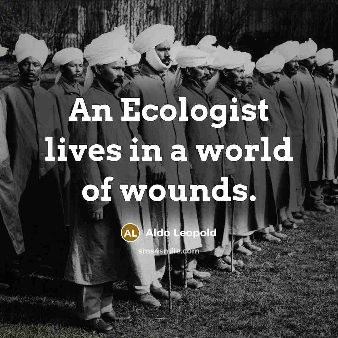 “An Ecologist lives in a world of wounds.…” quote by Aldo Leopold