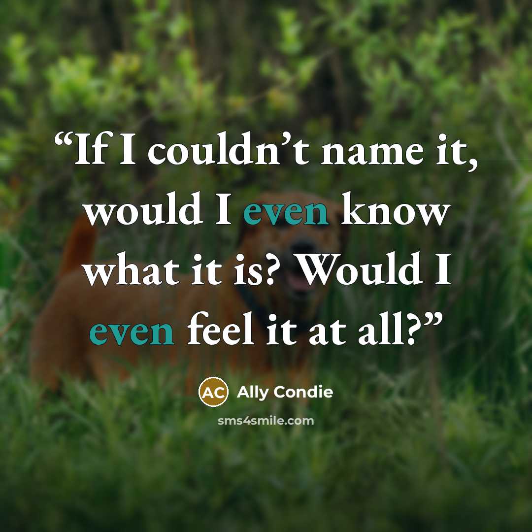 “If I couldn’t name it, would I even know what it is? Would I even feel it at all?” quote by Ally Condie