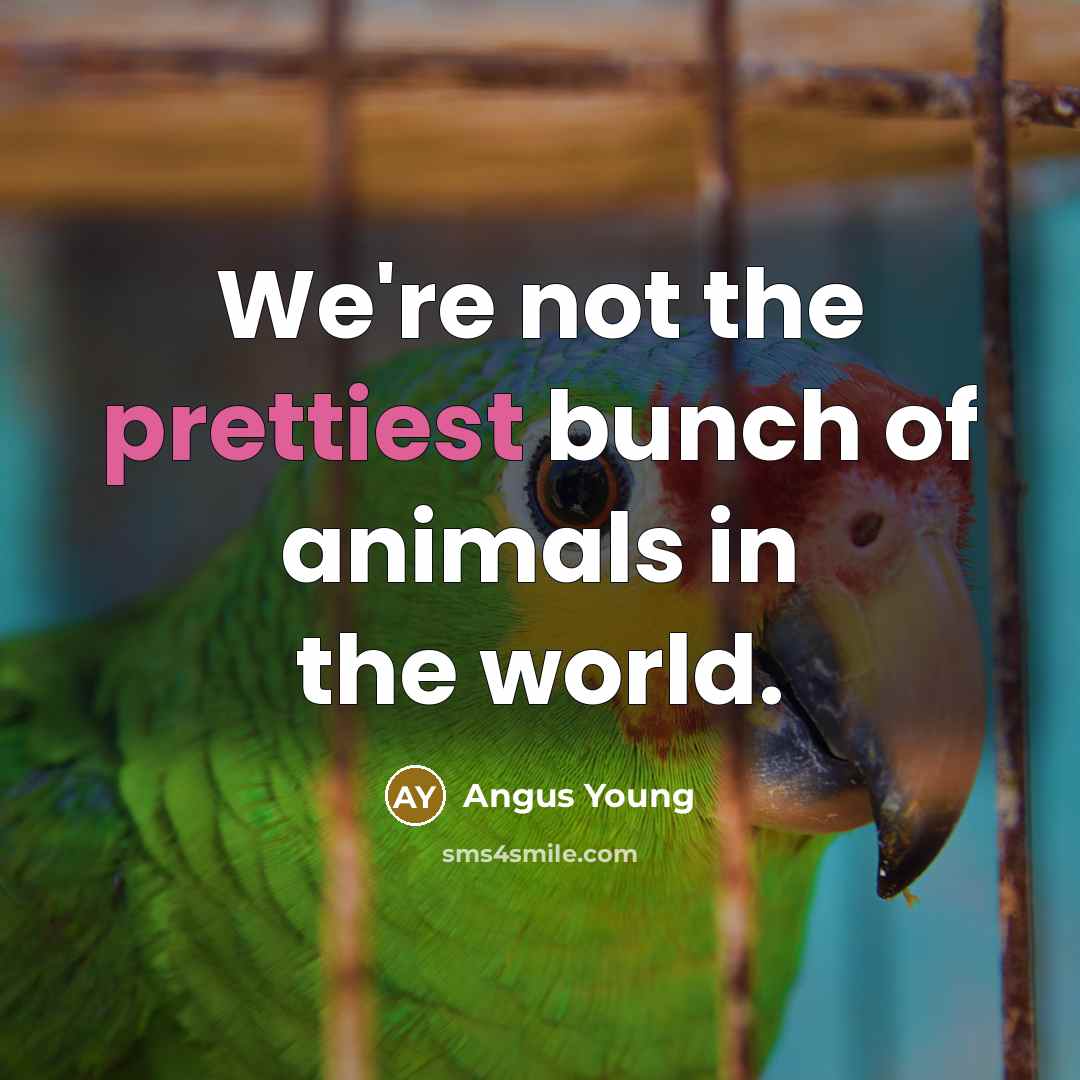 “We're not the prettiest bunch of animals in the world.” quote by Angus Young