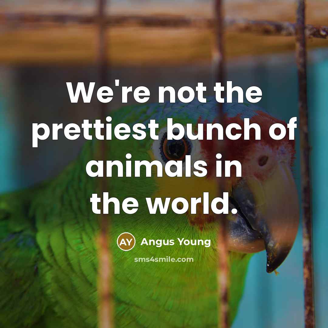 “We're not the prettiest bunch of animals in the world.…” quote by Angus Young