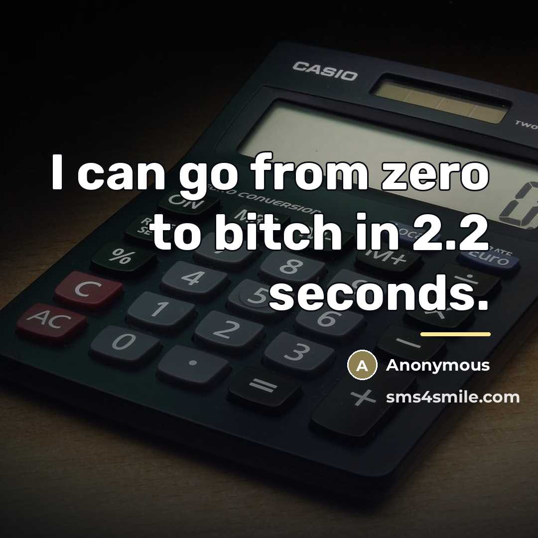“I can go from zero to bitch in 2.2 seconds.…” quote by Anonymous